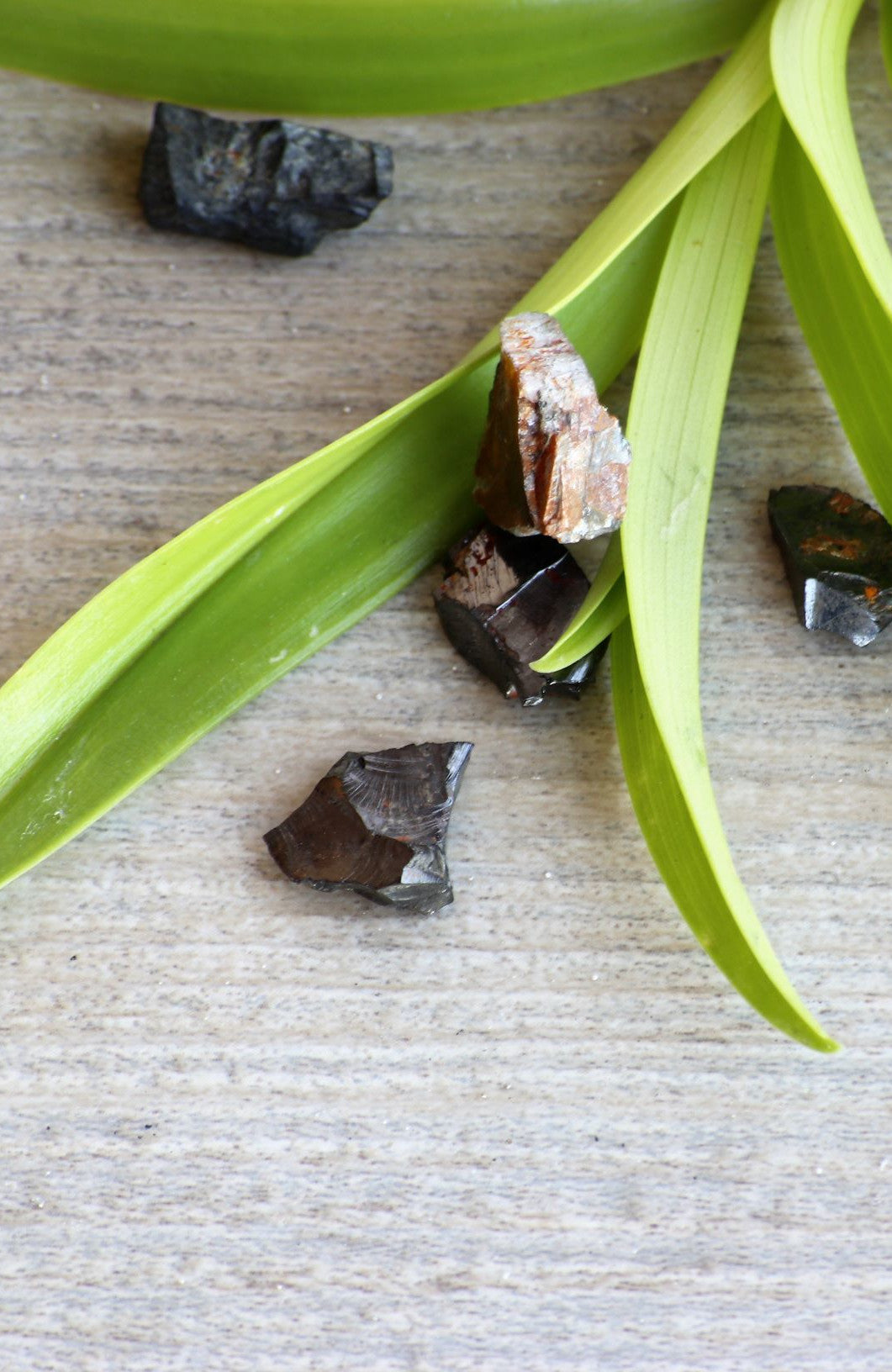 Noble (aka Elite) Shungite (Raw)